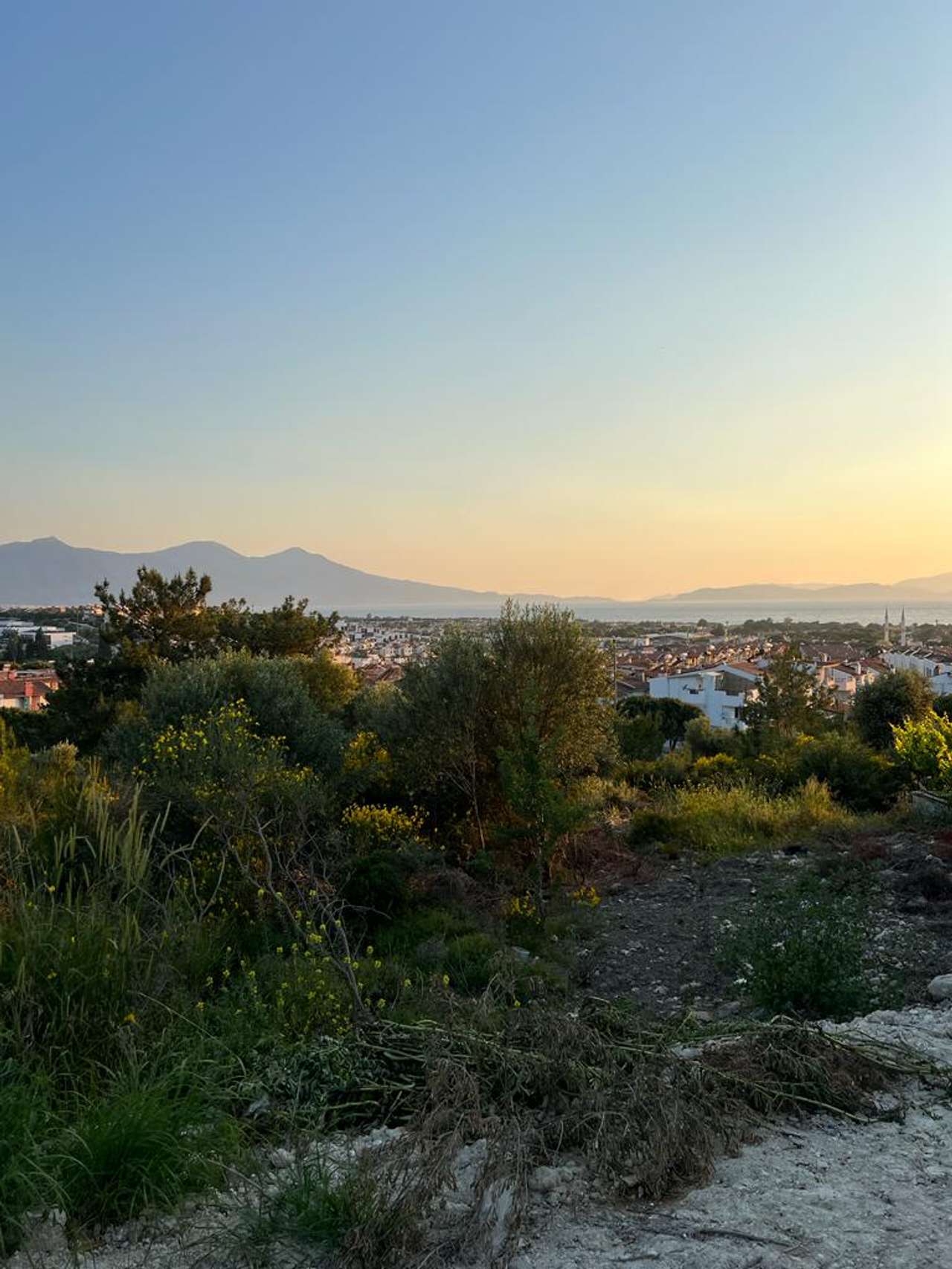 KUŞADASI SOĞUCAK DENİZ MANZARALI 11 ADET ARSA